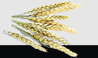 �����á�fun88(�й���) - �ٷ���վ