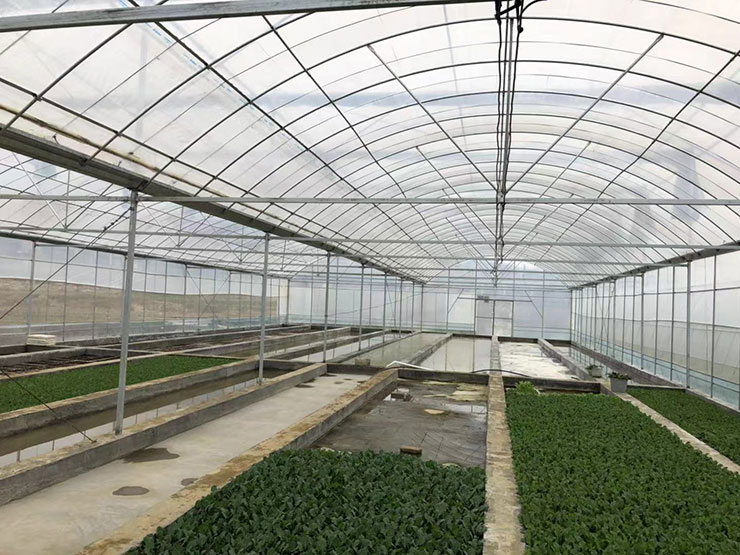 �����á�fun88(�й���) - �ٷ���վ