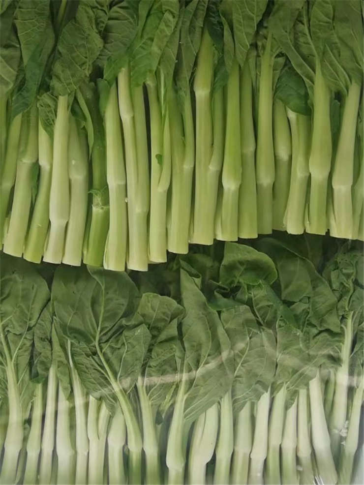 �����á�fun88(�й���) - �ٷ���վ