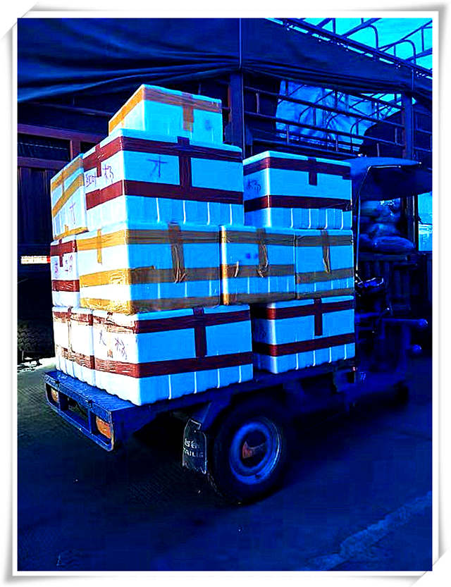 �����á�fun88(�й���) - �ٷ���վ