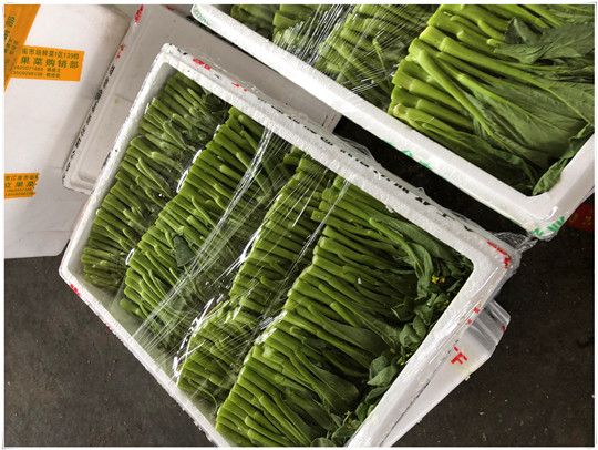 �����á�fun88(�й���) - �ٷ���վ