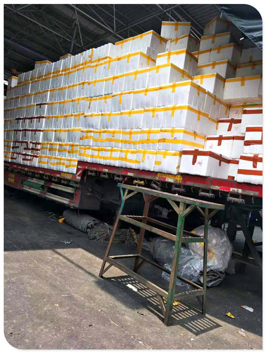 �����á�fun88(�й���) - �ٷ���վ