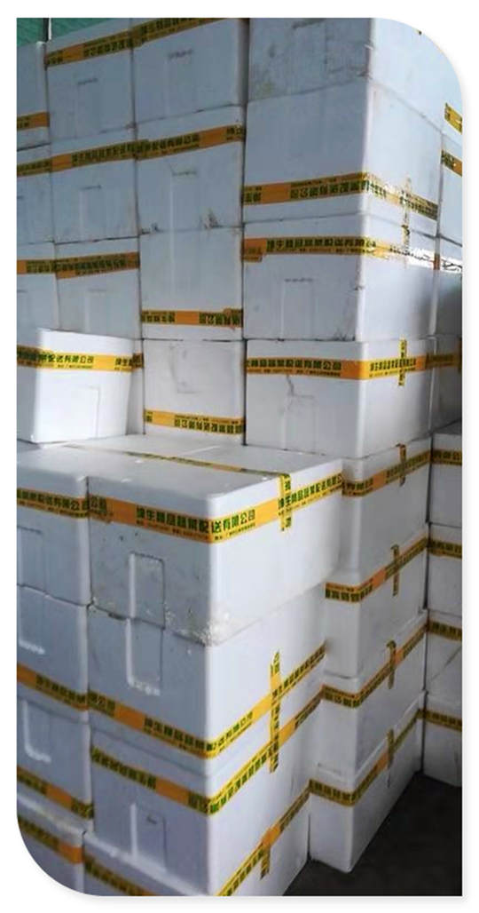 �����á�fun88(�й���) - �ٷ���վ