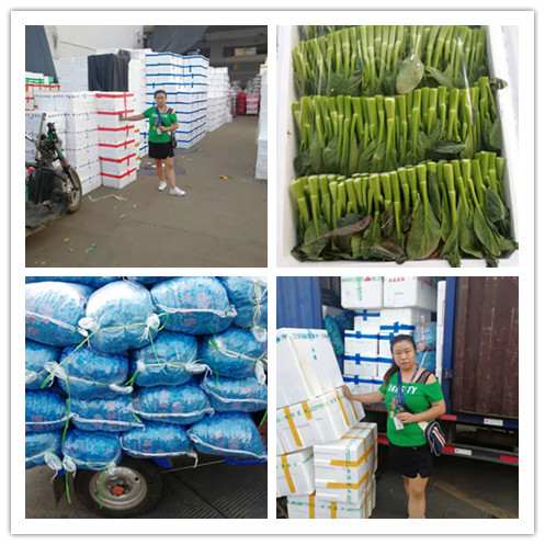 �����á�fun88(�й���) - �ٷ���վ