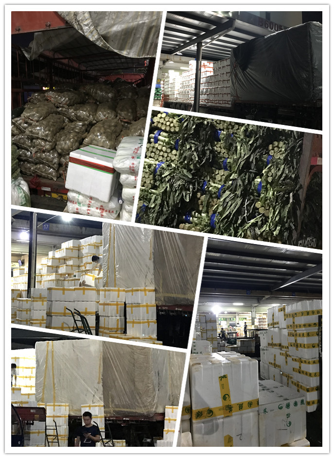 �����á�fun88(�й���) - �ٷ���վ