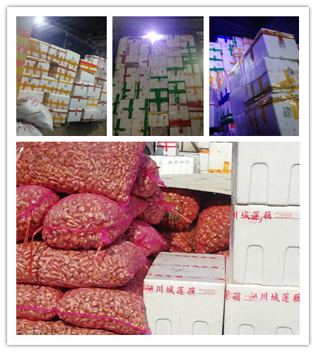 �����á�fun88(�й���) - �ٷ���վ