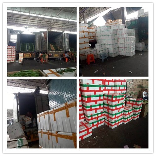 �����á�fun88(�й���) - �ٷ���վ