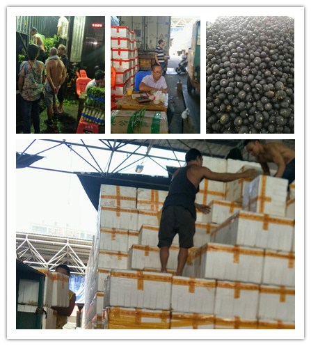 �����á�fun88(�й���) - �ٷ���վ