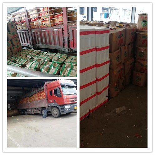 �����á�fun88(�й���) - �ٷ���վ