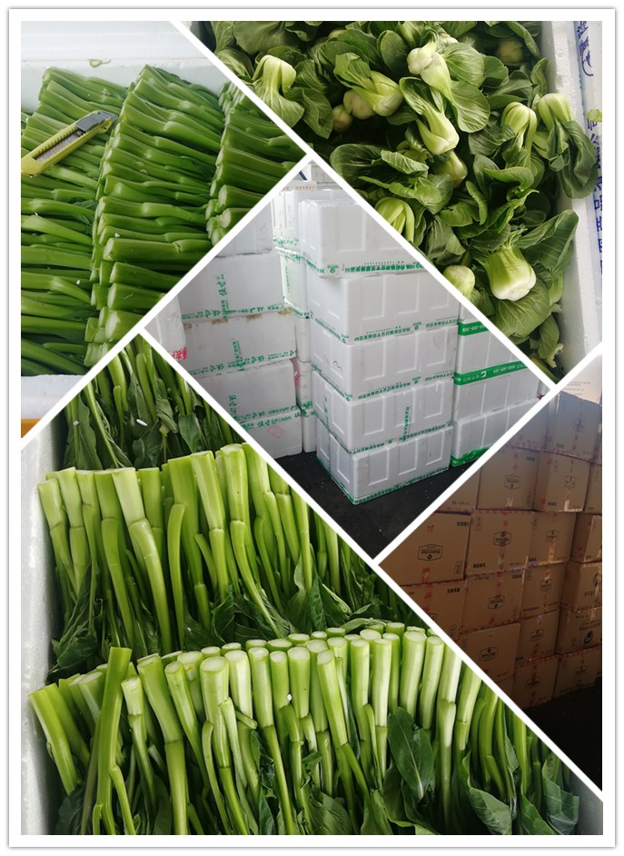 �����á�fun88(�й���) - �ٷ���վ