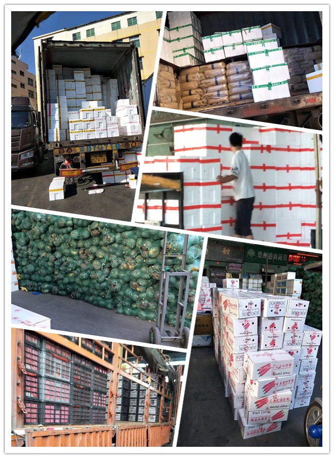 �����á�fun88(�й���) - �ٷ���վ