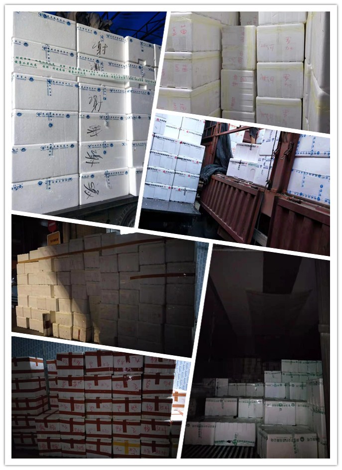 �����á�fun88(�й���) - �ٷ���վ