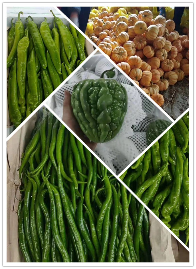 �����á�fun88(�й���) - �ٷ���վ