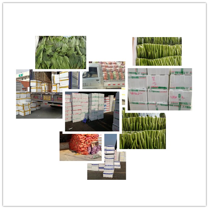 �����á�fun88(�й���) - �ٷ���վ