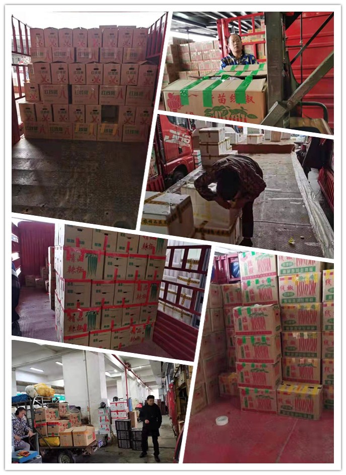 �����á�fun88(�й���) - �ٷ���վ