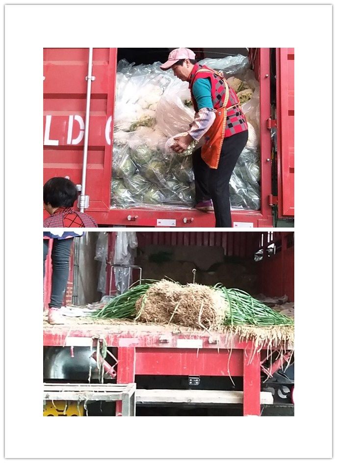 �����á�fun88(�й���) - �ٷ���վ