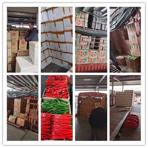 �����á�fun88(�й���) - �ٷ���վ