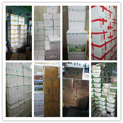 �����á�fun88(�й���) - �ٷ���վ