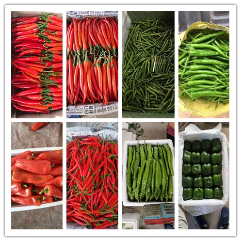 �����á�fun88(�й���) - �ٷ���վ