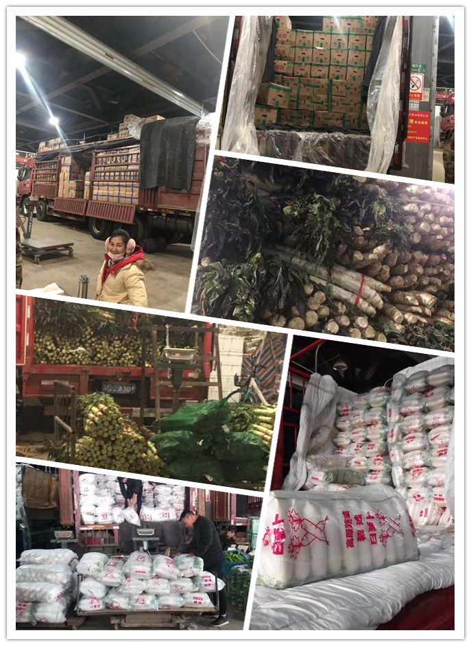 �����á�fun88(�й���) - �ٷ���վ