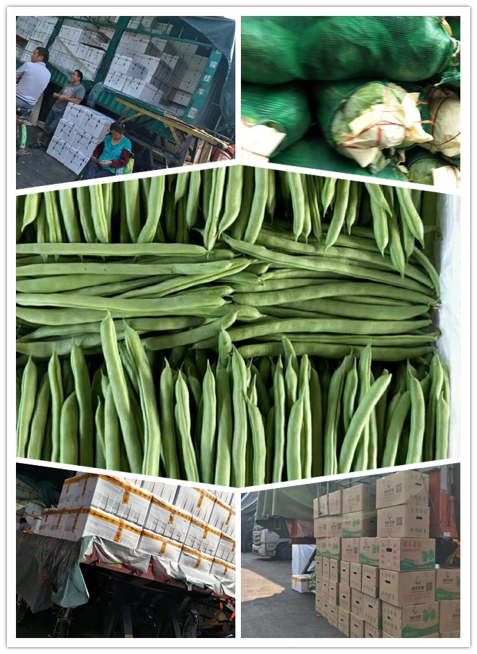 �����á�fun88(�й���) - �ٷ���վ