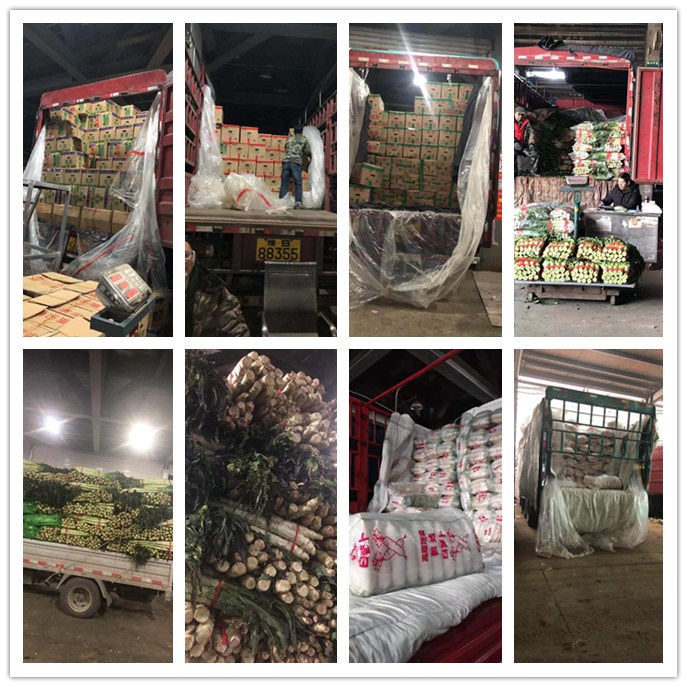 �����á�fun88(�й���) - �ٷ���վ