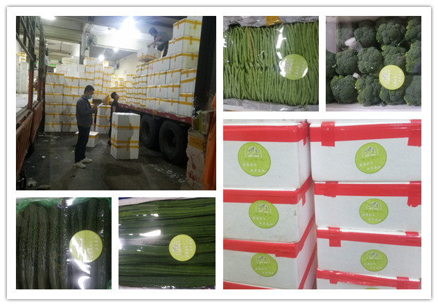 �����á�fun88(�й���) - �ٷ���վ