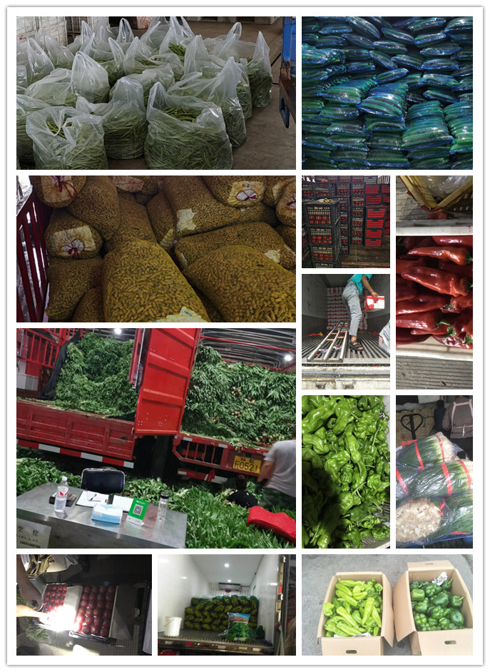 �����á�fun88(�й���) - �ٷ���վ