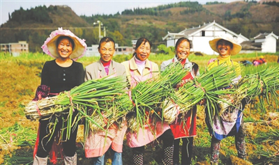 �����á�fun88(�й���) - �ٷ���վ