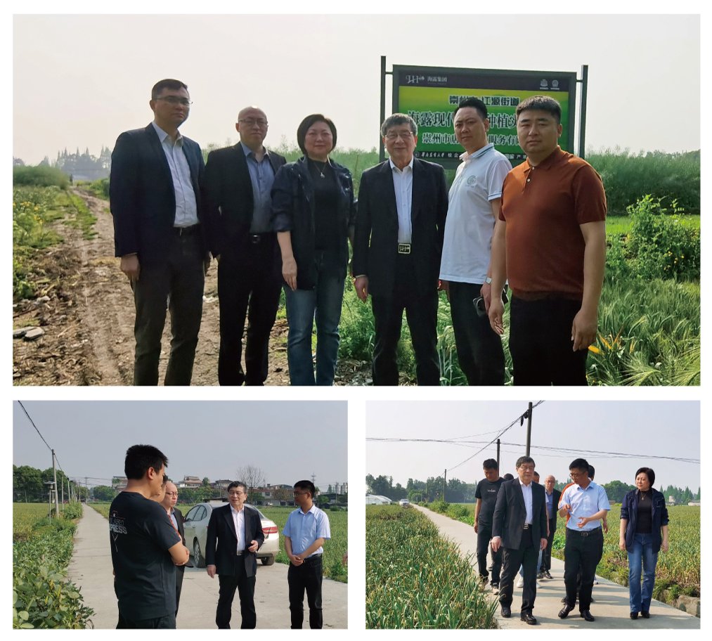 �����á�fun88(�й���) - �ٷ���վ