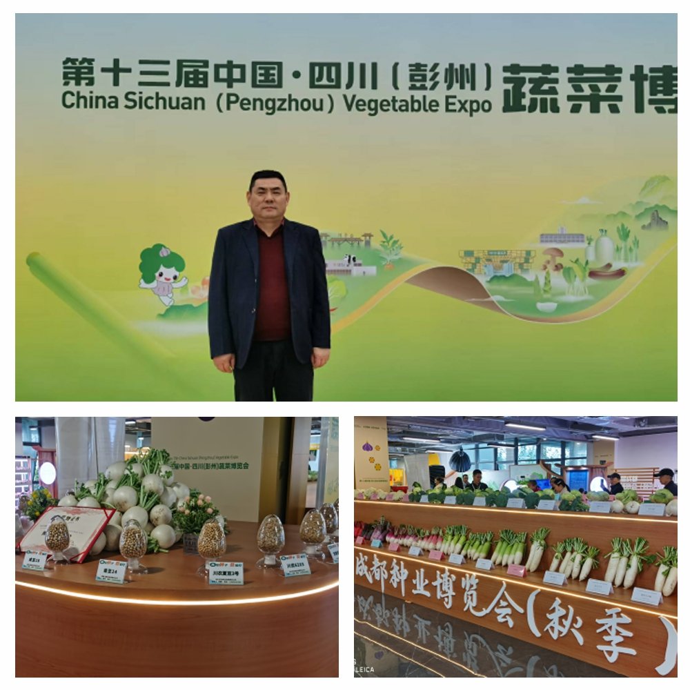 �����á�fun88(�й���) - �ٷ���վ