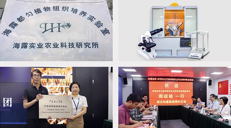 �����á�fun88(�й���) - �ٷ���վ